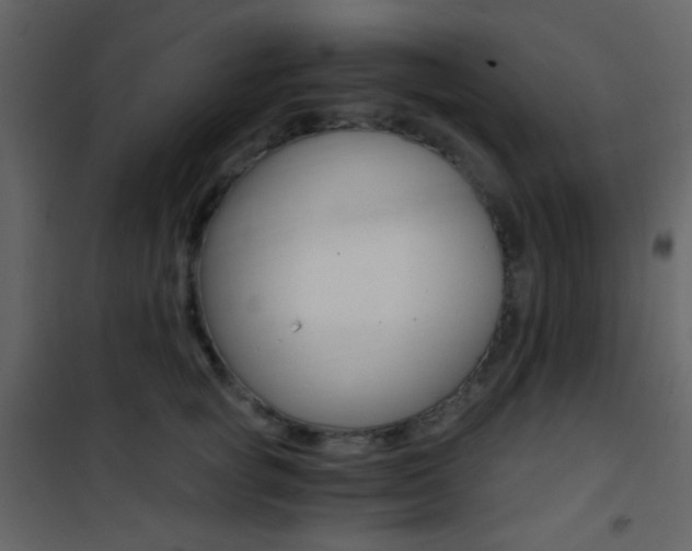 X0000101950757200807171133