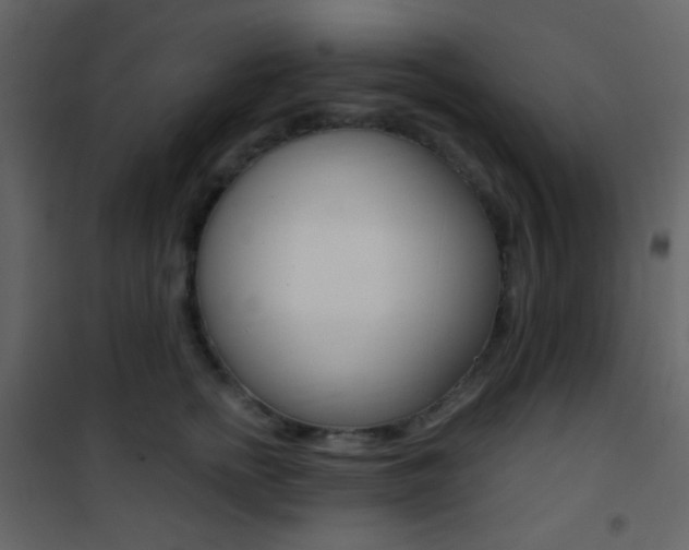 X0000101950758200807171133