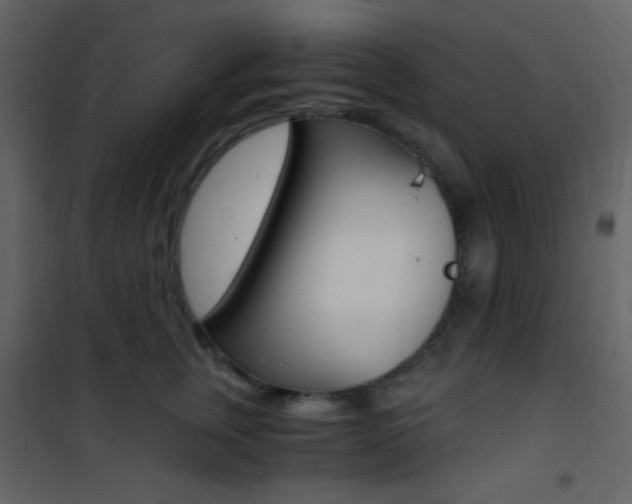 X0000101950759200807171133