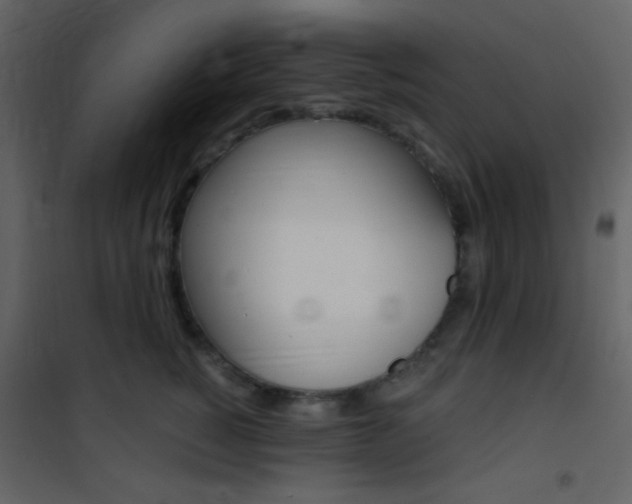 X0000101950760200807171133