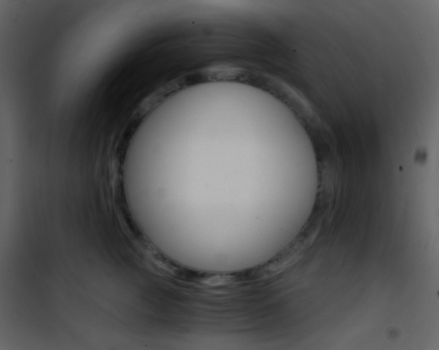 X0000101950761200807171133