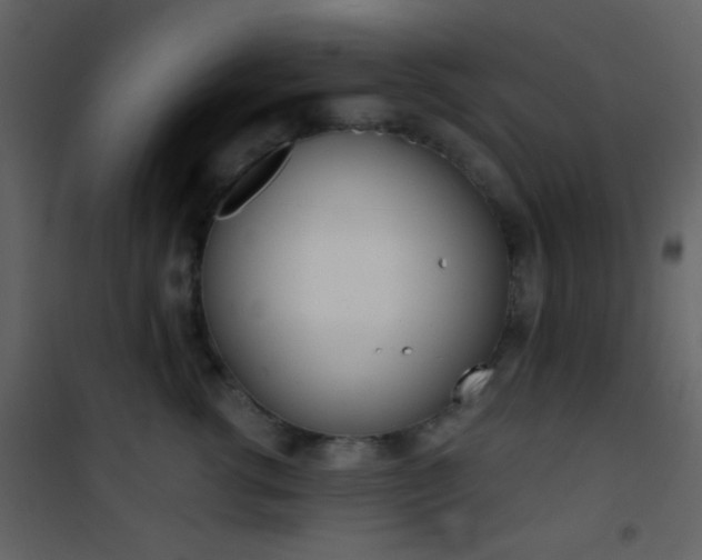 X0000101950762200807171133