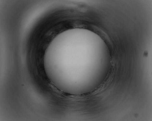 X0000101950763200807171133