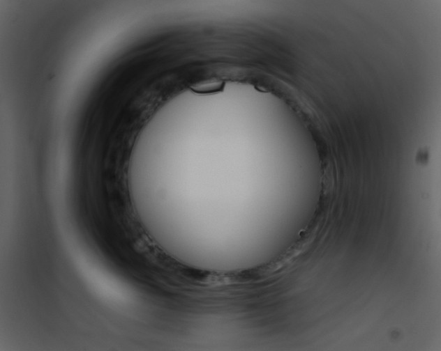 X0000101950764200807171133
