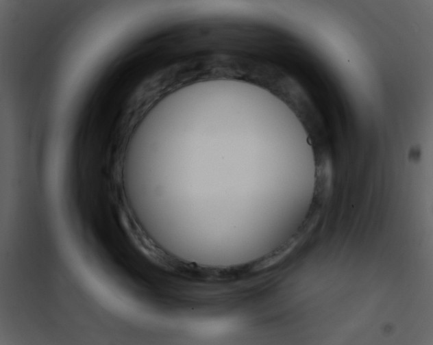 X0000101950765200807171133