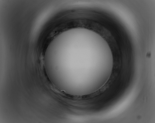 X0000101950766200807171133