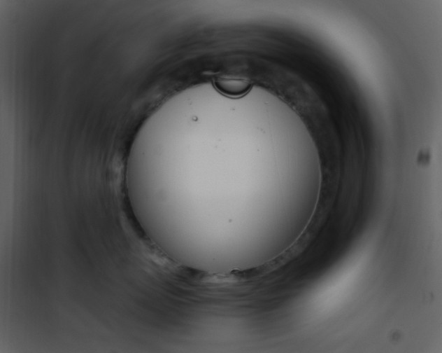 X0000101950767200807171133