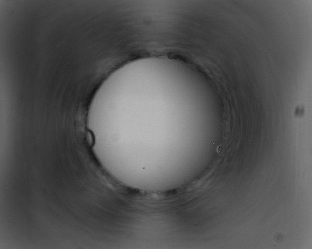 X0000101950768200807171133