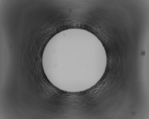 X0000101950769200807171132