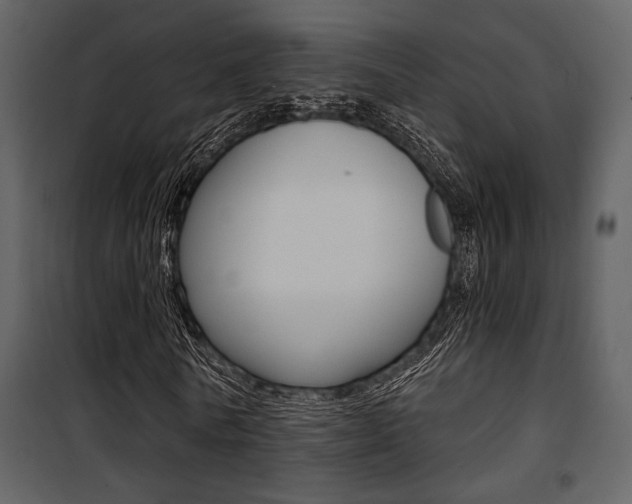 X0000101950770200807171132