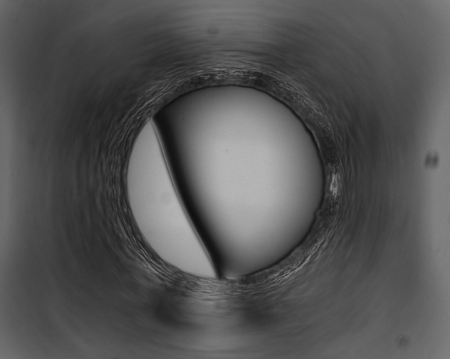 X0000101950771200807171132