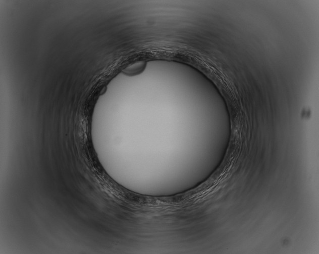 X0000101950772200807171132
