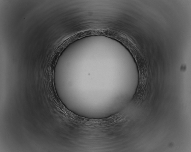 X0000101950773200807171132