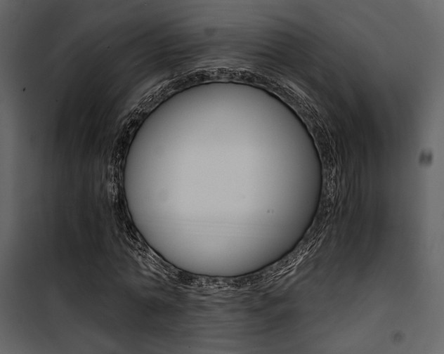 X0000101950774200807171132
