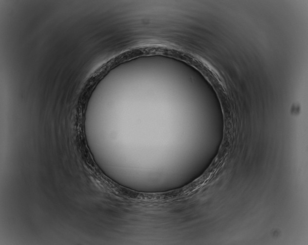 X0000101950775200807171132