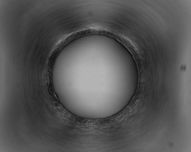 X0000101950776200807171132