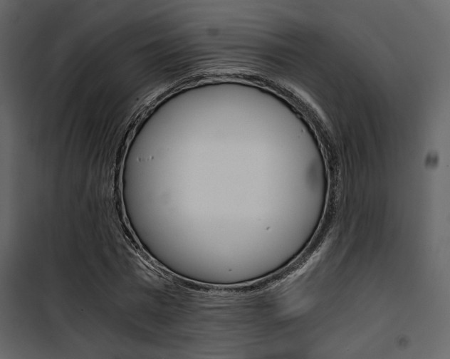 X0000101950777200807171132