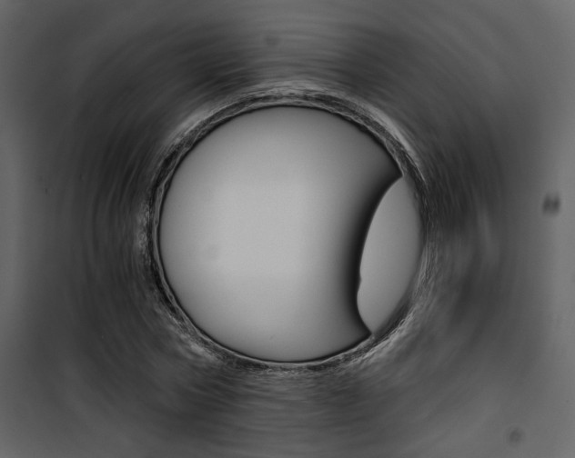 X0000101950778200807171132