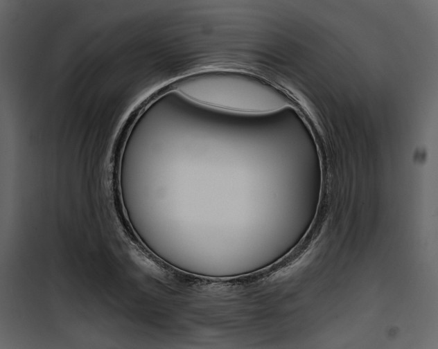 X0000101950779200807171132