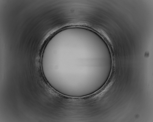 X0000101950781200807171132