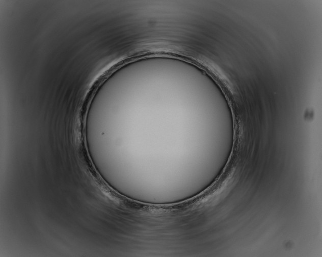 X0000101950782200807171132