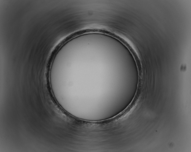 X0000101950783200807171132