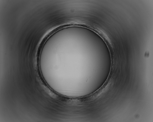 X0000101950784200807171132