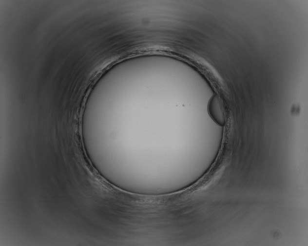 X0000101950785200807171132