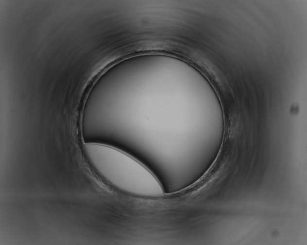 X0000101950786200807171132