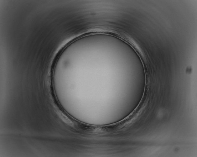 X0000101950787200807171132