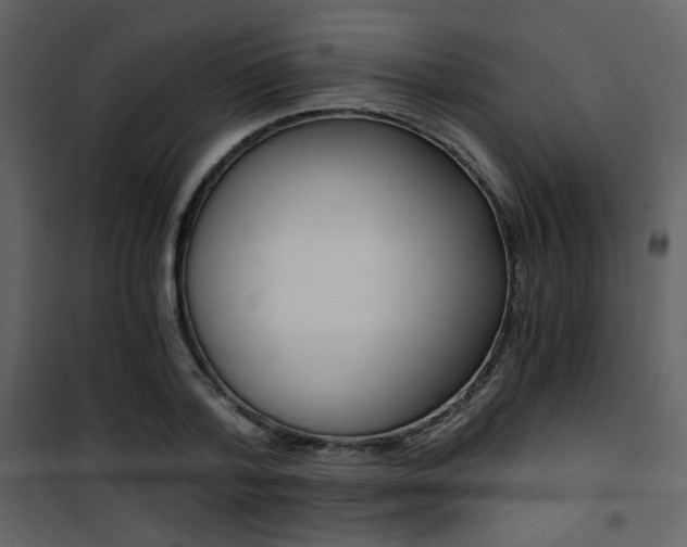 X0000101950788200807171132