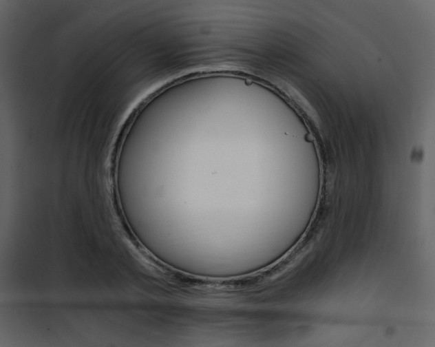 X0000101950789200807171132