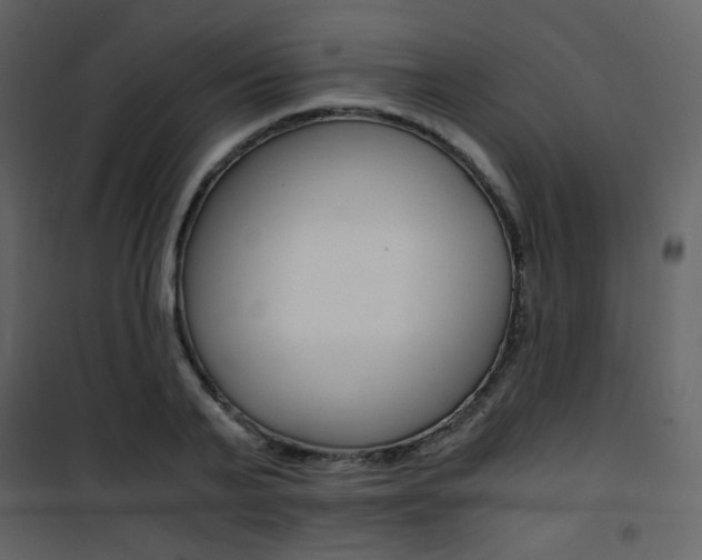 X0000101950791200807171132