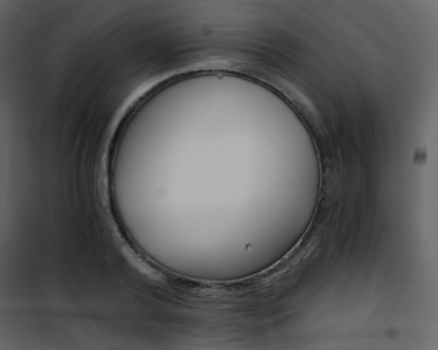 X0000101950792200807171132