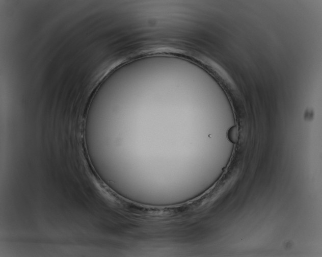 X0000101950793200807171132