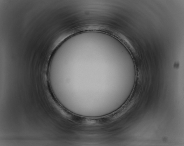 X0000101950794200807171132