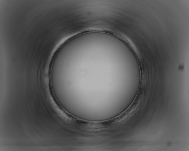 X0000101950795200807171132
