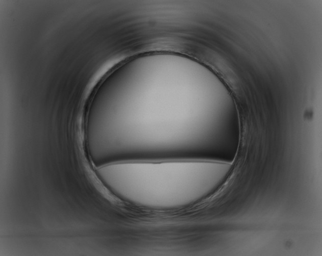 X0000101950796200807171132