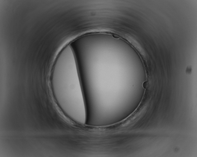 X0000101950797200807171132
