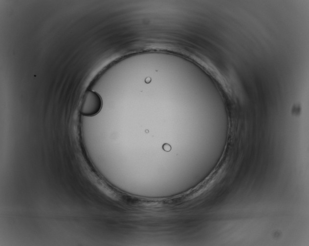 X0000101950798200807171132