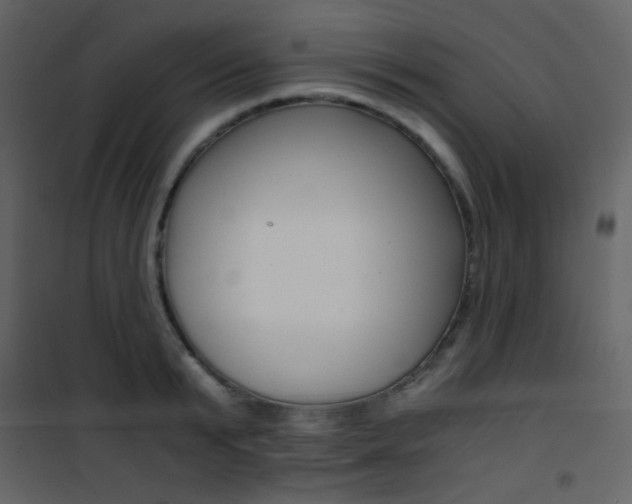 X0000101950799200807171132