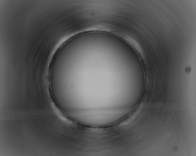 X0000101950800200807171132
