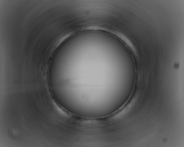 X0000101950801200807171132