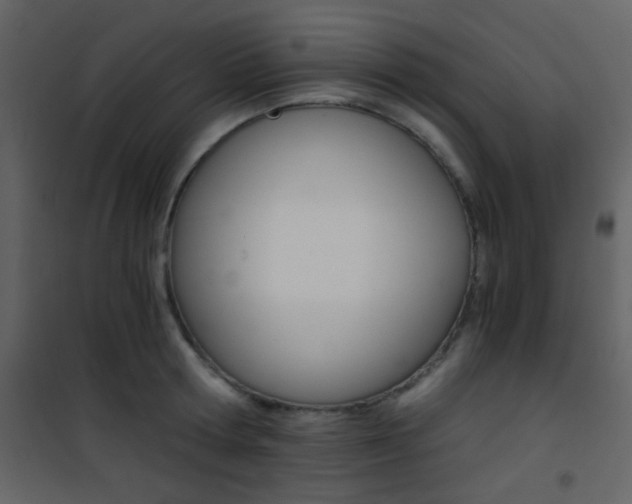 X0000101950802200807171132