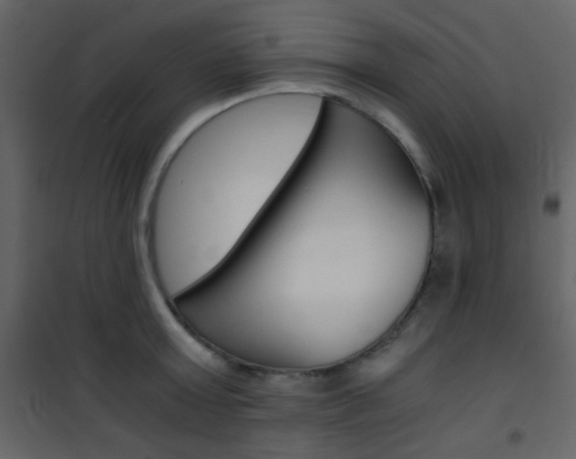 X0000101950803200807171132
