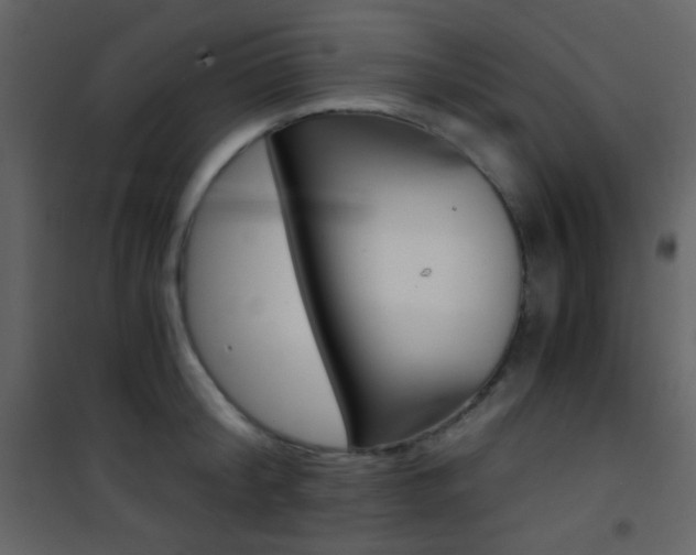 X0000101950804200807171132
