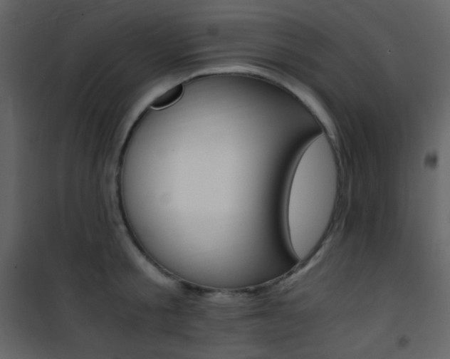 X0000101950805200807171132
