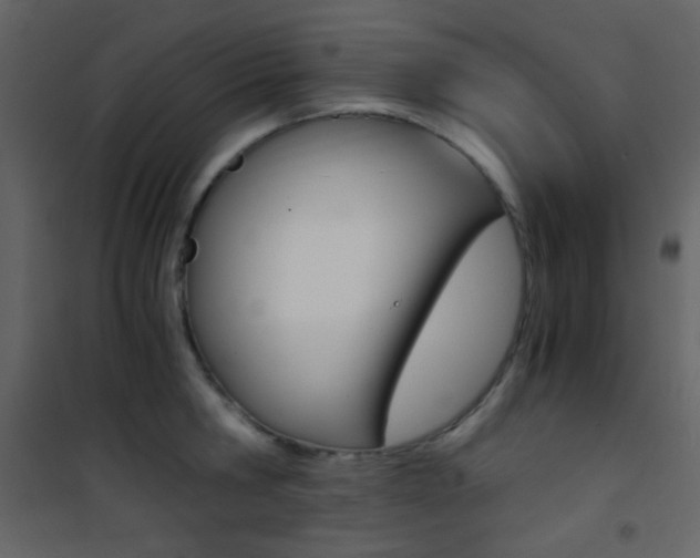 X0000101950806200807171132