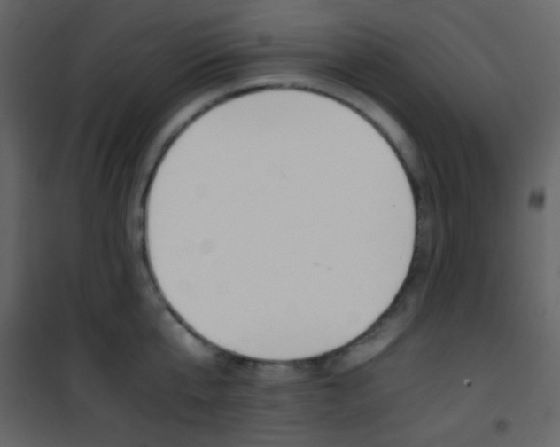 X0000101950807200807171132
