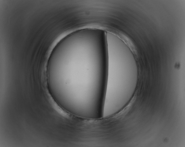 X0000101950808200807171132